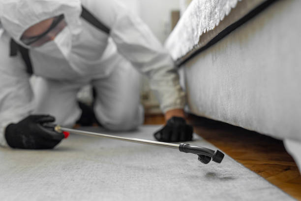 Professional Termite Control technician working in Pleasantville, NY