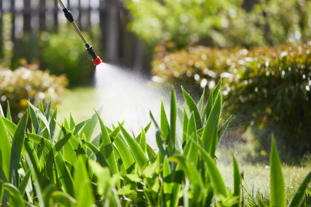 24/7 Emergency Termite Control experts in Pleasantville, NY