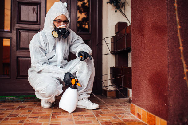 Reliable Termite Control contractor in Pleasantville, NY by Nex Pest Control