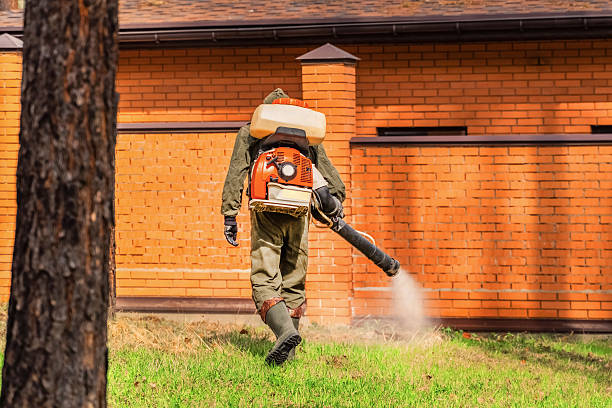 Trusted Termite Control service in Pleasantville, NY - Nex Pest Control
